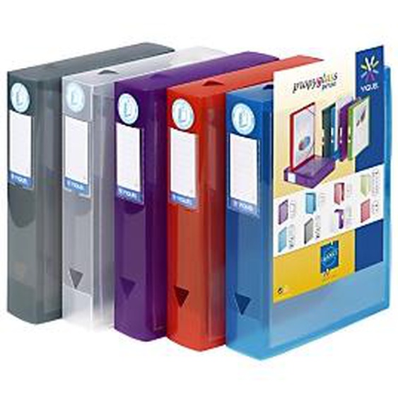 Lot de 8 - Viquel Boîte de classement A4 Propyglass personnalisable en polypropylène - Dos 6 cm - Coloris assortis
