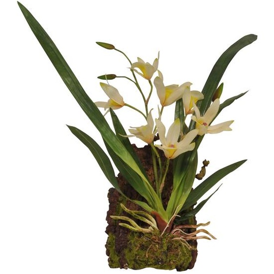 Lucky Reptile - Orchidée suspendue blanc