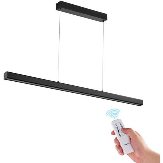 Luminaire Moderne Suspendu-VEVOR-20 W-LED-Abat-jour en acrylique,Télécommandé-Couleur Réglable 3000 K-6000 K-Cuisine, Salle à