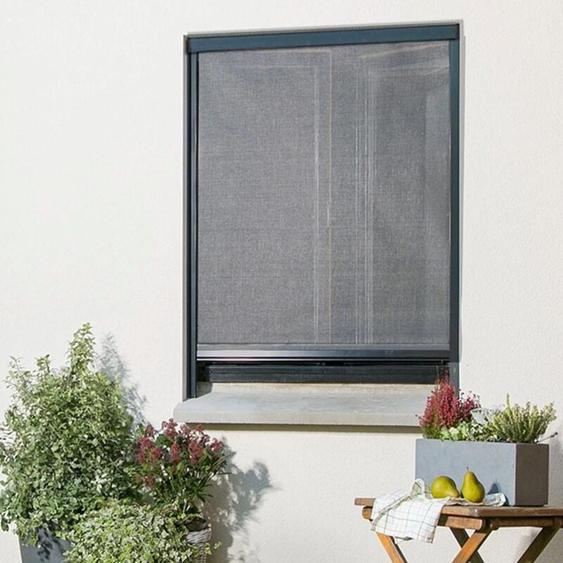 Madecostore - Moustiquaire enroulable anti-pollen en alu pour fenêtre - Gris - L100 x H160cm