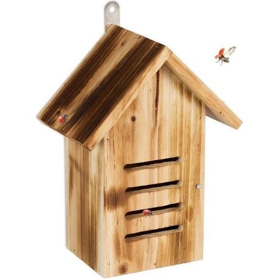 Maison coccinelle en bois avec flammes