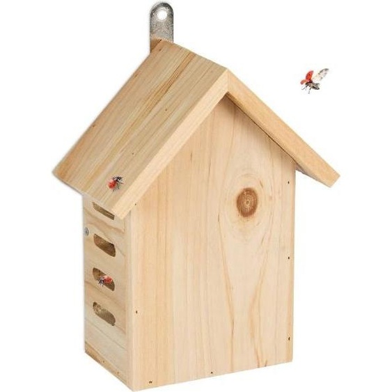 Maison de coccinelle en bois
