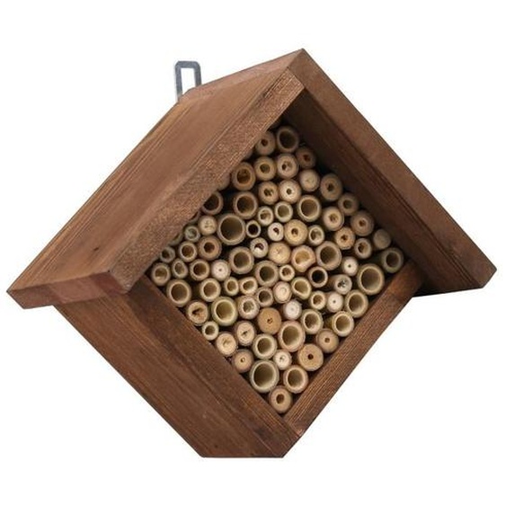 Maison des insectes