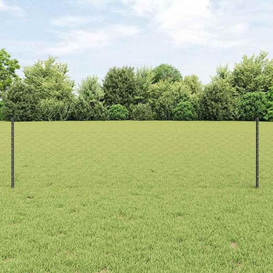 Maison Exclusive - Clôture avec poteau Gris 0,5 x 25 m Acier