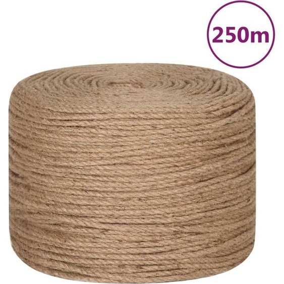 Maison Exclusive Corde de jute 250 m de longueur 4 mm dépaisseur