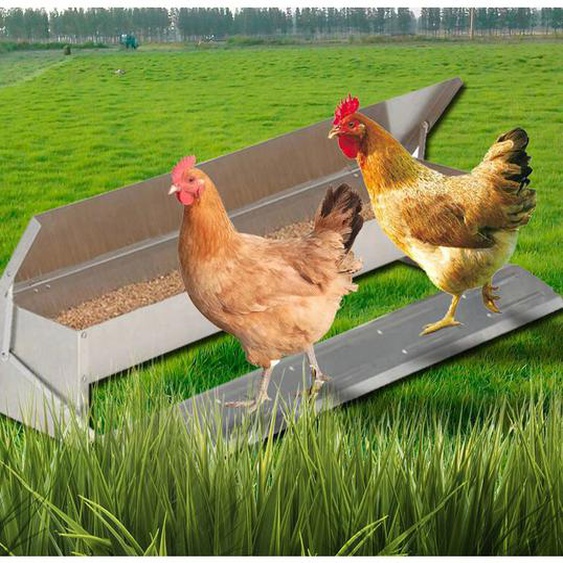 Mangeoire xxl pour poules distributeur automatique à pédale en acier 10 kg