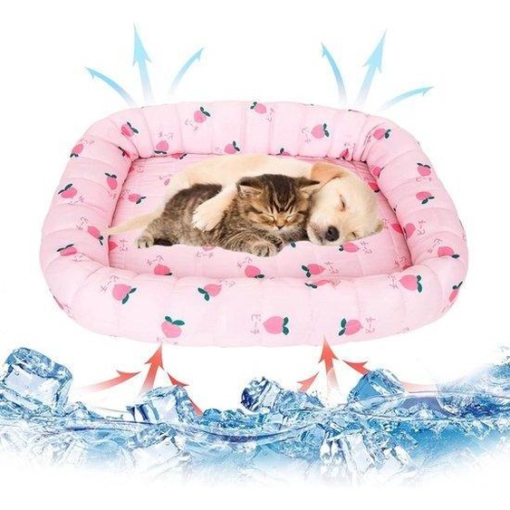 Matelas rafraîchissants pour chiens - Matelas rafraîchissants pour chats - Boîte de rangement pour lhiver en fibres synthétiques + fibres de polypropylène + tissu Oxford élégant - Les chiens restent au frais plus longtemps (rouge) - 55 x 43 cm