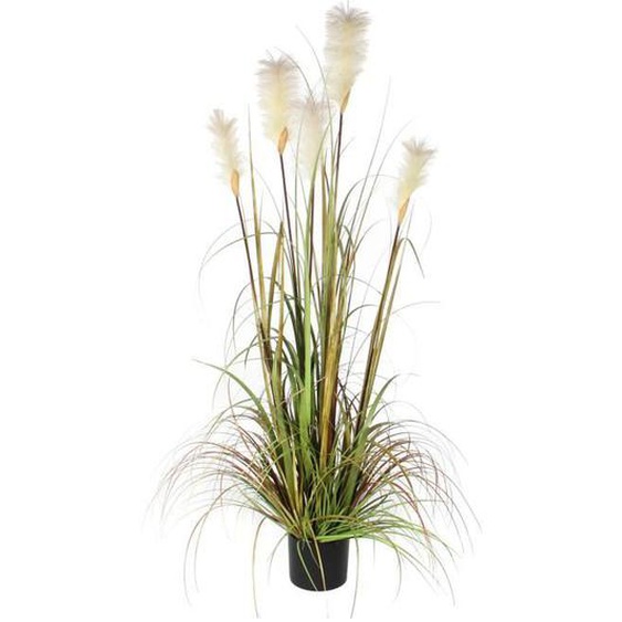 Mica Decorations Herbe à plumes Foxtail Plantes artificielles - H150 x Ø70 cm - Vert