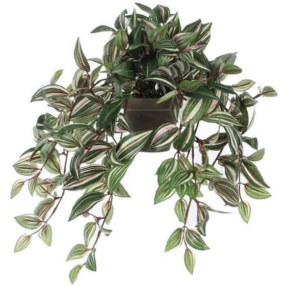 Plante artificielle - MICA DECORATIONS - TRADESCANTIA - Polyester - 45x25 cm - Gris