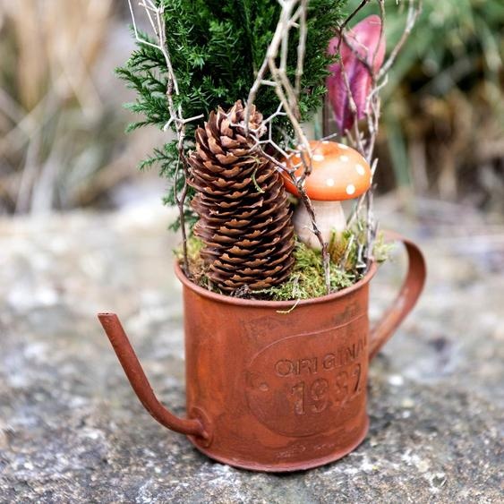 Mini pot de plantes au design vintage et nostalgique en métal pour des idées de décoration