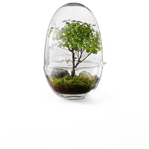 Mini-serre Grow  - XL