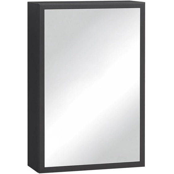 Miroir de salle de bain - Armoire à miroir - 3 étagères - Charnières à fermeture douce - Cadre en plastique - Montage mural - 40x15x60 cm - Noir