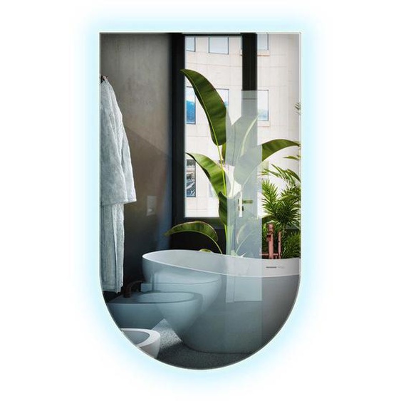 Miroir de salle de bain irrégulier Semi-Ovale 40 x 70 cm Tenture murale LED - lumière froide