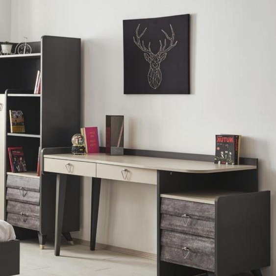 Moderne ureau en bois gris Meubles de chambre à coucher Élégant Nouveau