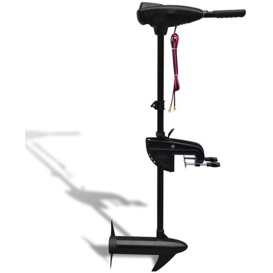 Moteur électrique pour bateau P22 46 lbs