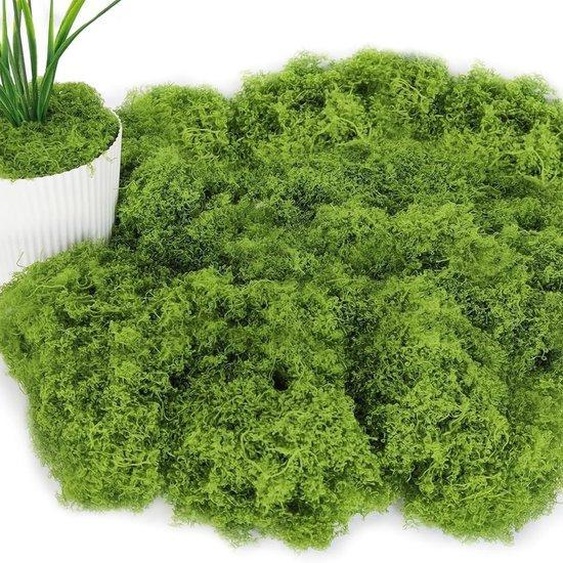 Mousse artificielle décorative 150 g, verte, pour aquarium mural