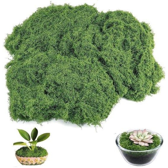 Mousse décorative vert foncé 150 g 19 x 17 cm