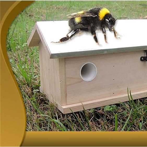 Mucola Maison pour bourdons Boîte à bourdons Nichoir pour insectes Hôtel pour bourdons Hôtel pour insectes