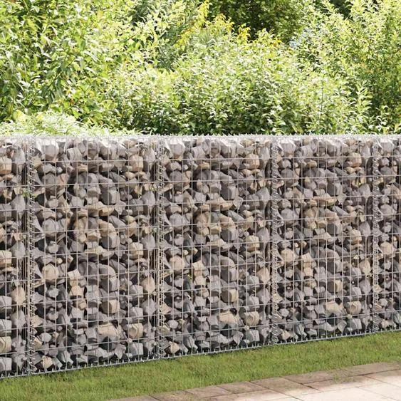 Mur à gabion avec couvercles Acier galvanisé 600x30x100 cm