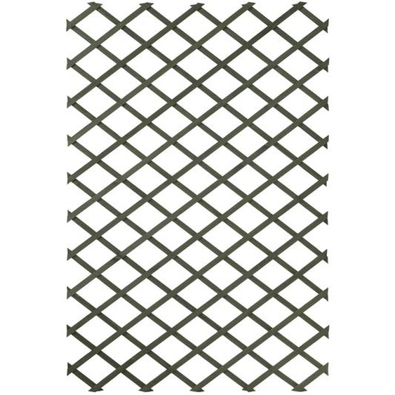 Nature Palissade de jardin 100 x 200 cm Bois Vert
