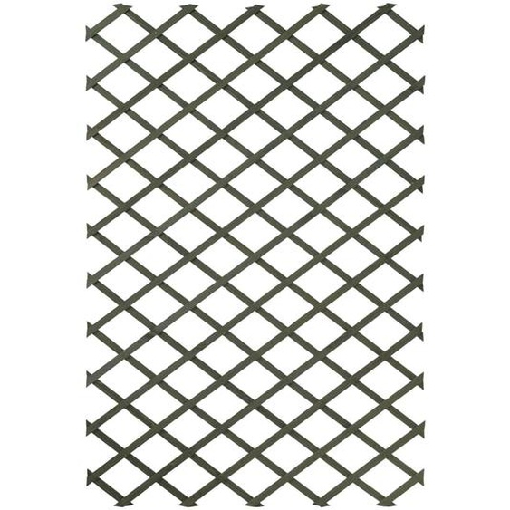 Nature Palissades de jardin 2 pcs 100 x 200 cm Bois Vert