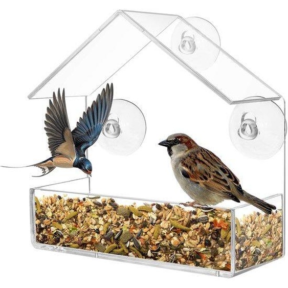Nichoir transparent Ibenzoa® avec ventouses – Mangeoire pour oiseaux en plastique, dimensions 15 x 6,5 x 15 cm, idéale pour lobservation et lalimentation des oiseaux