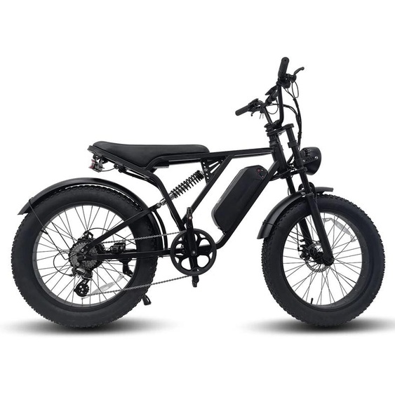 NONE 24 en effet Fat opathie Vélos Rétro 48V 20Ah Batterie Au Lithium Vélo Électrique Vélo Électrique En Acier avec Moteur 500W EU Adulte Fatbike Y-24