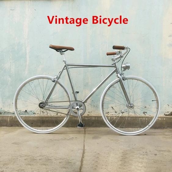 NONE CommConsulImaging-Vélo vintage pour femme, cadre en acier argenté avec lumière, vélo à vitesse unique pour femme