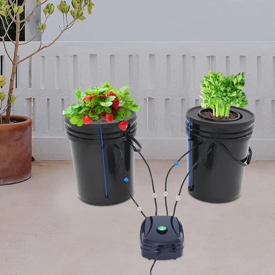 NONE Kit de culture hydroponique, 2 pièces, mécanisme de culture deau profonde de 5 gallons avec pompe à Air, culture hors sol pour fleurs et légumes