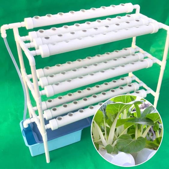 NONE LOYALHEARTDY 3 couches Kit de culture hydroponique 90 sites de plantes et éponge plante outil végétal blanc Pvc-U support de Site de plantation