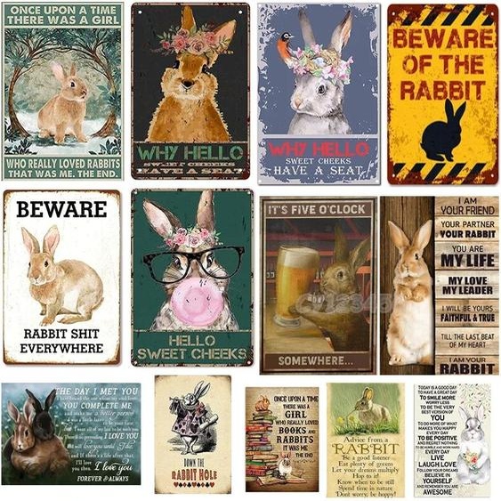 NONE Plaque en métal drôle de lapin 18 signes, méfiez-vous du lapin, signe de lapin, effet vintage, maison de ferme, amoureux, 8x12 pouces