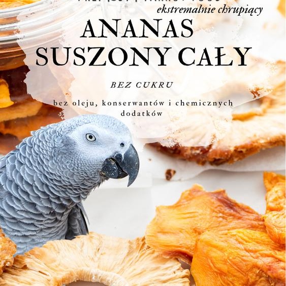 Nourriture Premium pour perroquets | Ananas naturellement séché | Friandise naturelle pour tous les perroquets 100G