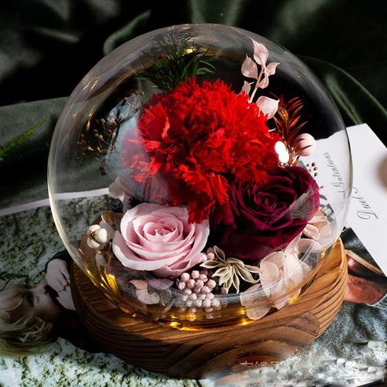 Oeillet Éternel, Fleur Éternelle - Coffret dŒillets, le meilleur cadeau, idéal pour femme, maman, grand-mère, petite amie, Rouge