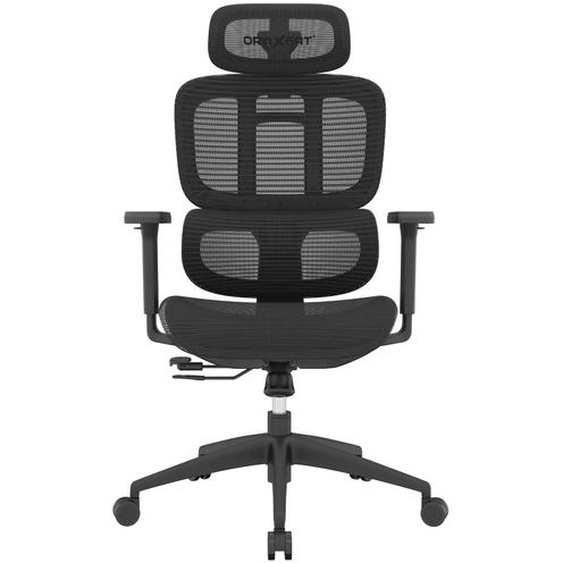 Oraxeat Fauteuil ergonomique Ernest avec accoudoirs 3D et appui-tête réglable - Assise et dossier en Maille - Noir