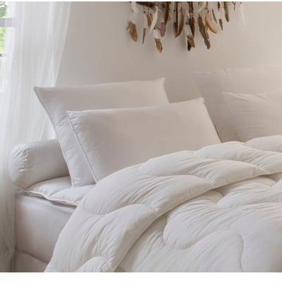 Oreiller Alaska 40% Duvet - FERME