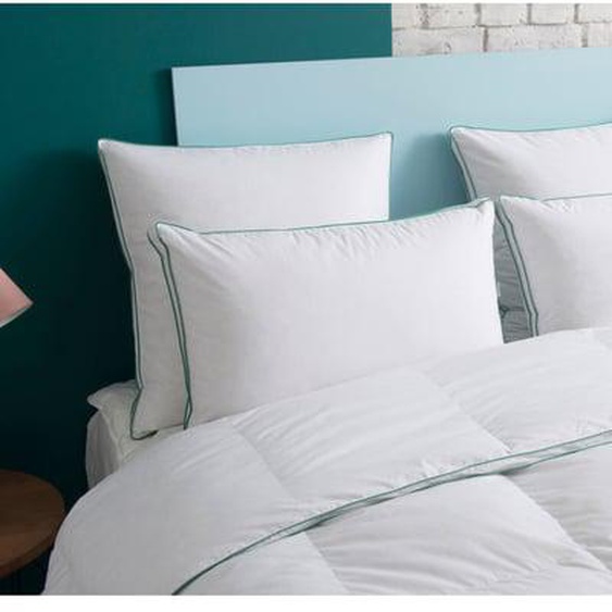 Oreiller MEDIUM 50% duvet - Coton Bio - Alfred