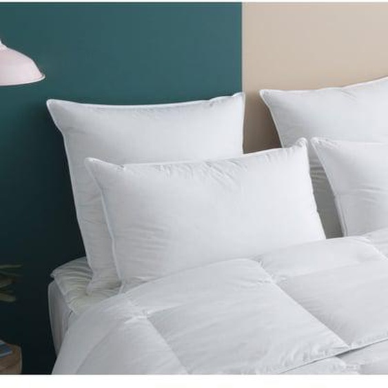 Oreiller MOELLEUX 70% Duvet - Coton - Ernest