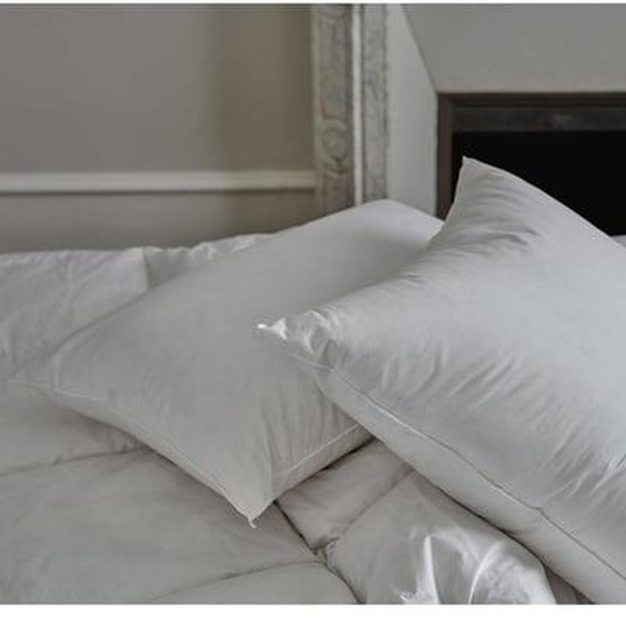 Oreiller moelleux en duvet et percale  biologique Carla-