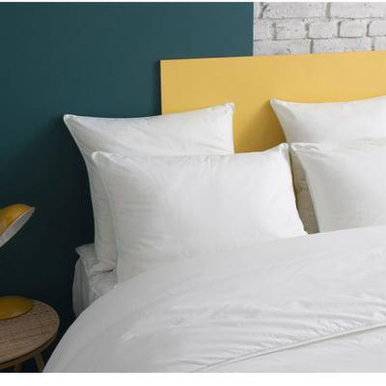 Oreiller MOELLEUX Gonflant Durable - Coton Bio - Félix