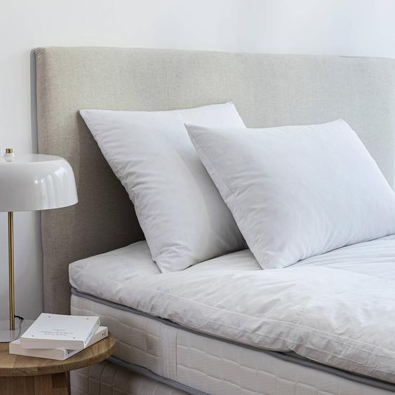 Oreiller naturel Dodo® ferme Proneem® anti-acariens -