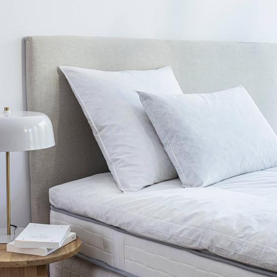 Oreiller plumes en lot de 2 -