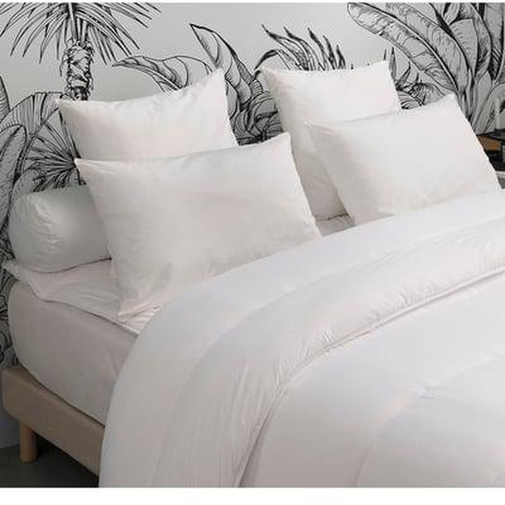 Oreiller Ultra Gonflant Moelleux