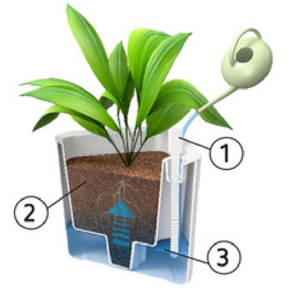 Cache-pot EDEN, largeur : 200 mm, blanc