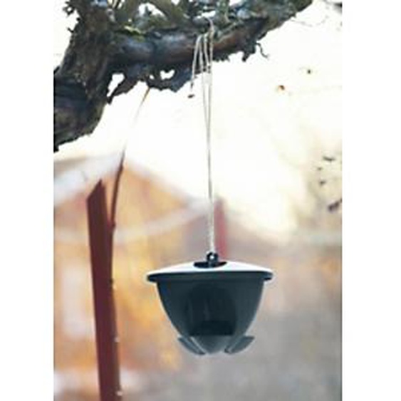 ORTHEX Mangeoire pour oiseaux BIRDIE, noir