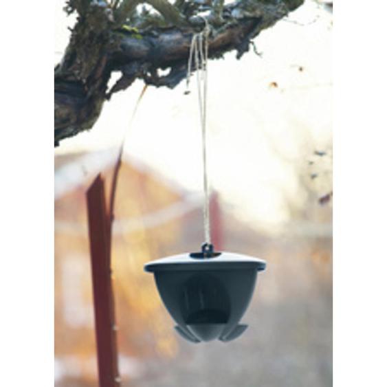 ORTHEX Mangeoire pour oiseaux BIRDIE, noir