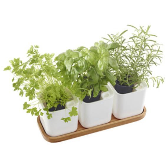 Pot à herbes aromatiques EDEN, set de 3, blanc