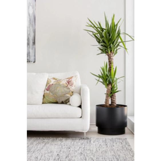 Pot de fleurs PAULINA, diamètre : 400 mm, blanc