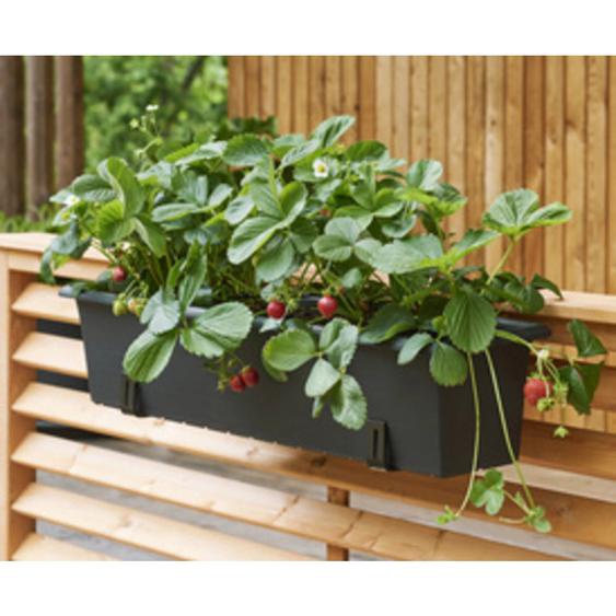 ORTHEX Support de jardinière, charge max.: 30 kg, noir
