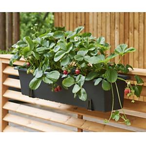 ORTHEX Support de jardinière, charge max.: 30 kg, noir