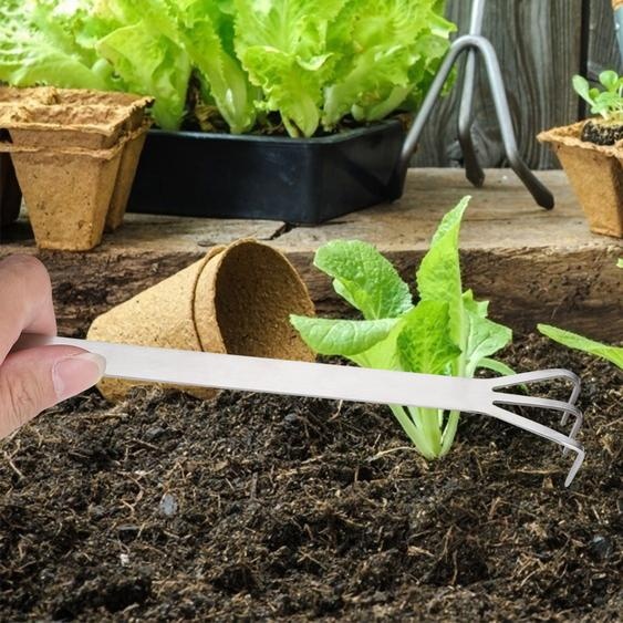 Outil pour bonsaïs, outil de jardinage, râteau à racines, spatule à racines, outil pour bonsaïs en acier inoxydable